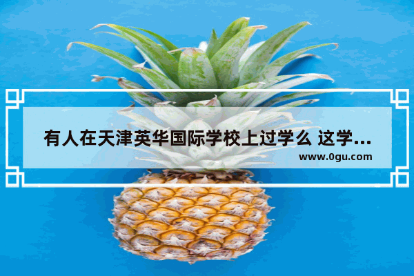 有人在天津英华国际学校上过学么 这学校怎么样_东丽区英语口语试听课