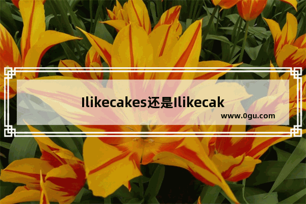 Ilikecakes还是Ilikecake_蛋糕英语训练营是什么