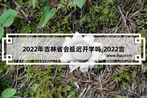 2022年吉林省会延迟开学吗,2022吉林英语四级延迟