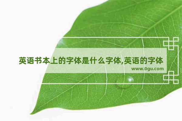 英语书本上的字体是什么字体,英语的字体