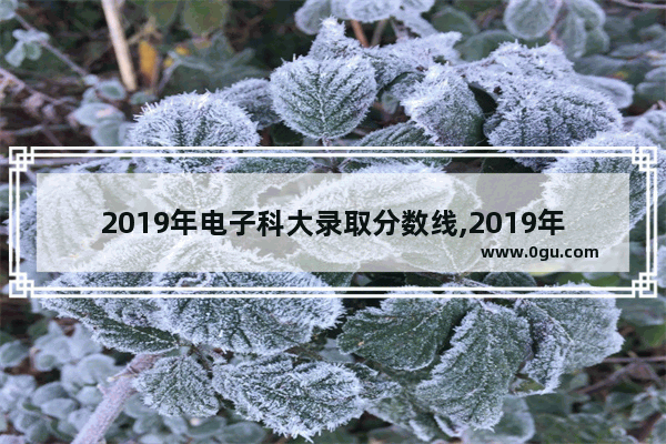 2019年电子科大录取分数线,2019年英语四级620