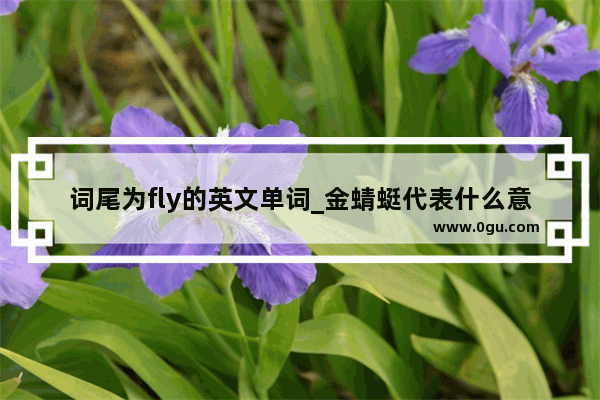 词尾为fly的英文单词_金蜻蜓代表什么意思