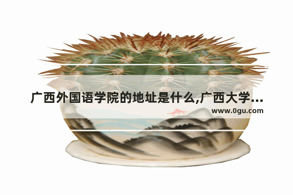 广西外国语学院的地址是什么,广西大学公共英语考试楼