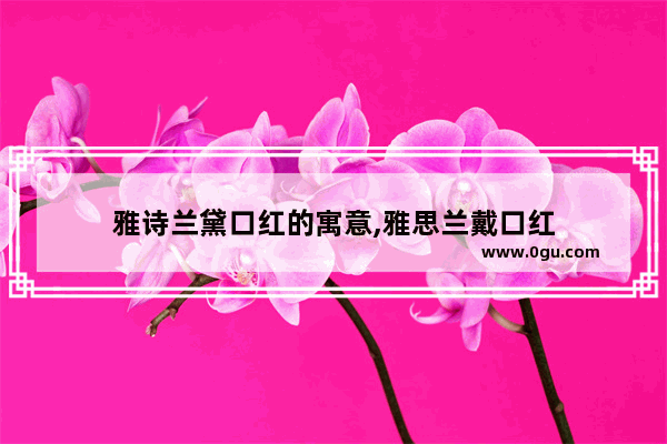 雅诗兰黛口红的寓意,雅思兰戴口红