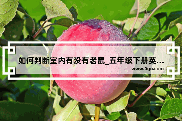 如何判断室内有没有老鼠_五年级下册英语听力能手的答案
