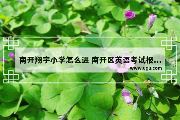 南开翔宇小学怎么进 南开区英语考试报名点