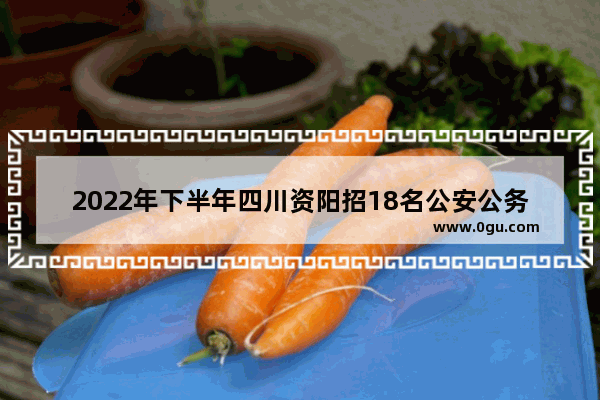 2022年下半年四川资阳招18名公安公务员 都有哪些地方招_资阳曼购中心设有游泳馆吗