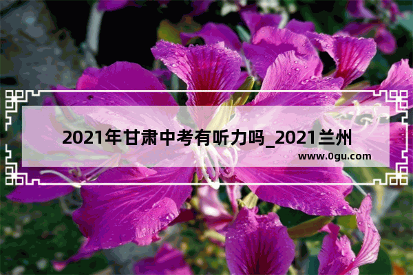 2021年甘肃中考有听力吗_2021兰州中考英语听力考试时间