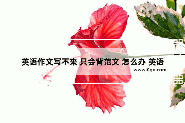 英语作文写不来 只会背范文 怎么办 英语不写作文