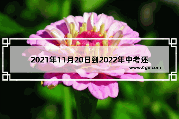 2021年11月20日到2022年中考还有几天 2021中招英语考试时间