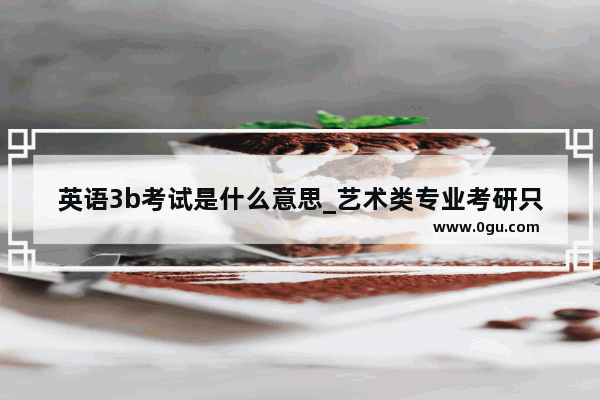 英语3b考试是什么意思_艺术类专业考研只能考英语吗