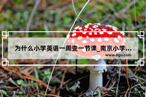 为什么小学英语一周变一节课_南京小学教辅材料哪个最好