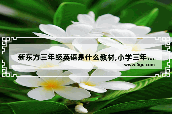 新东方三年级英语是什么教材,小学三年级英语教材推荐