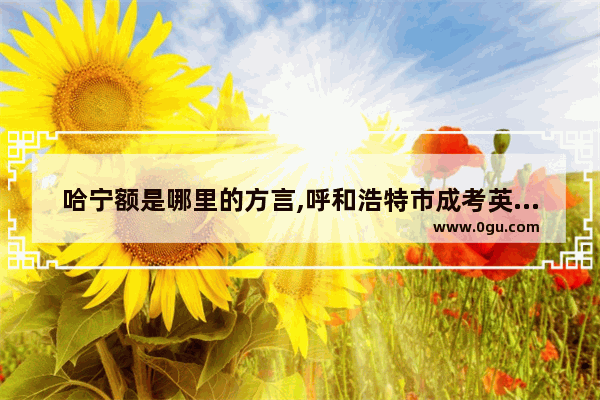 哈宁额是哪里的方言,呼和浩特市成考英语语法