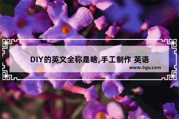 DIY的英文全称是啥,手工制作 英语