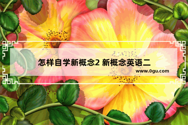 怎样自学新概念2 新概念英语二