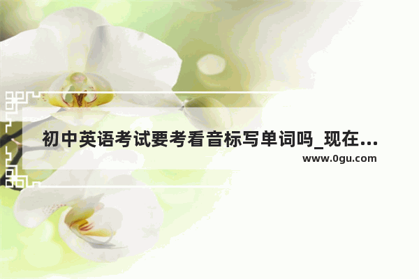 初中英语考试要考看音标写单词吗_现在初中英语不学音标吗