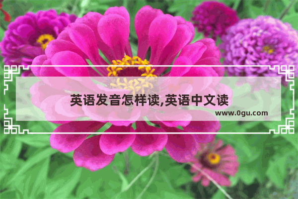 英语发音怎样读,英语中文读