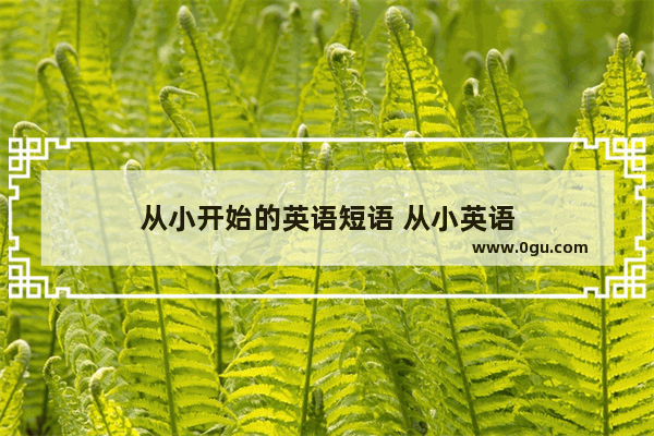从小开始的英语短语 从小英语