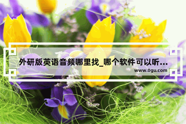 外研版英语音频哪里找_哪个软件可以听高中外研版英文单词课文听力。急需 谢谢