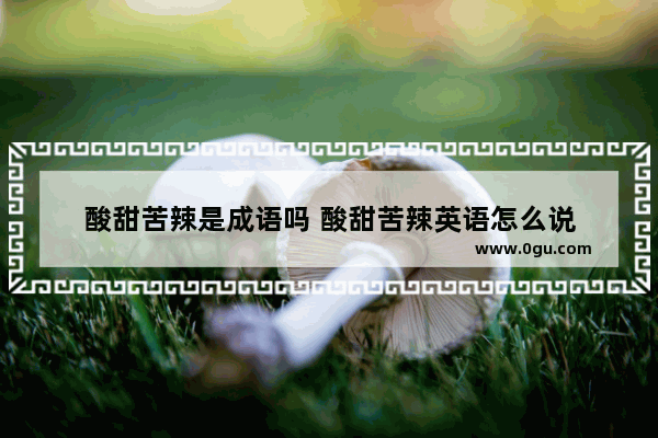 酸甜苦辣是成语吗 酸甜苦辣英语怎么说