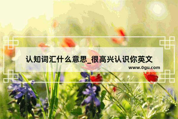 认知词汇什么意思_很高兴认识你英文