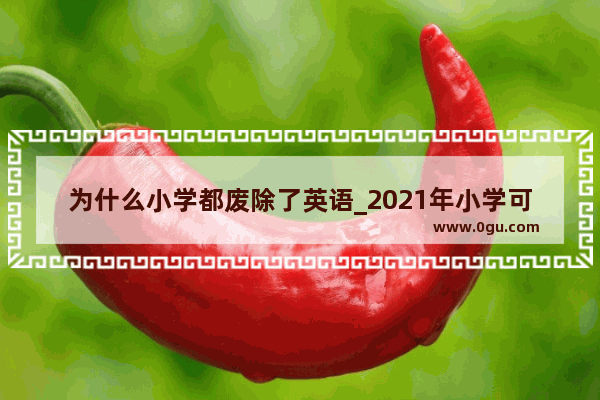 为什么小学都废除了英语_2021年小学可能取消英语吗