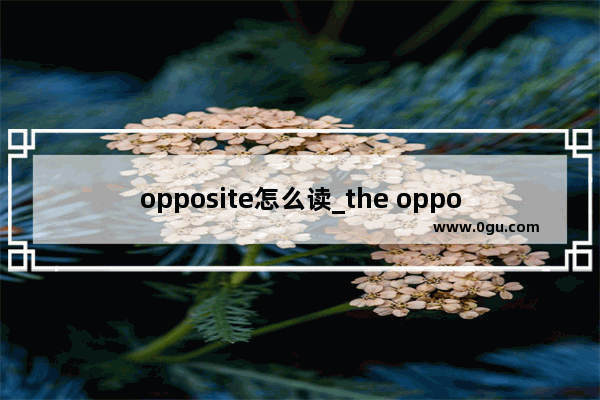 opposite怎么读_the opposite 和opposite 的区别