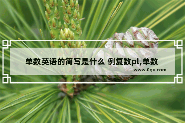 单数英语的简写是什么 例复数pl,单数 英语