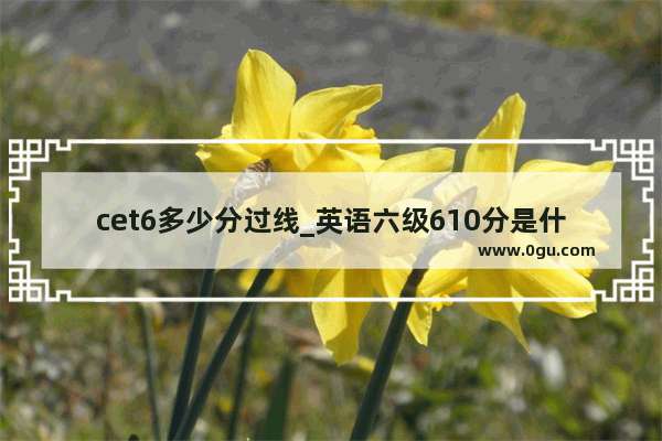 cet6多少分过线_英语六级610分是什么水平