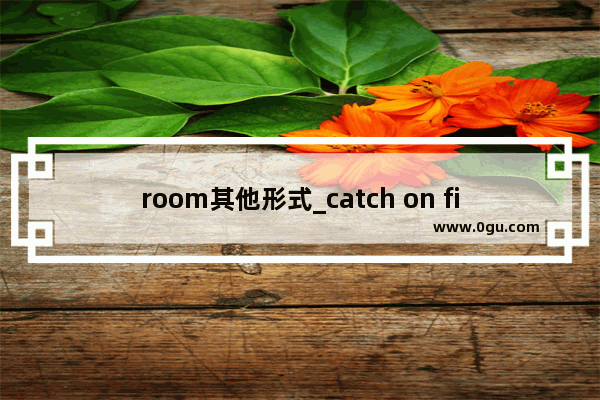 room其他形式_catch on fire与catch fire的区别