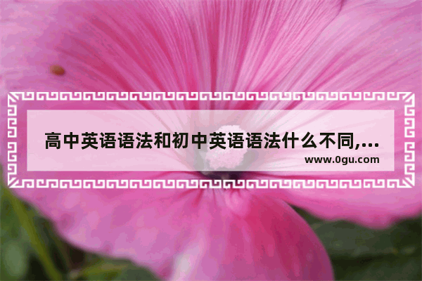 高中英语语法和初中英语语法什么不同,英语语法初一上册到下册