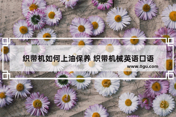 织带机如何上油保养 织带机械英语口语