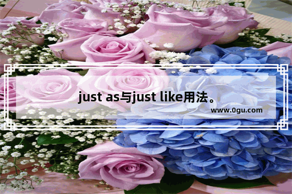 just as与just like用法。（老师或者英语高手请进） 英语口语老加just