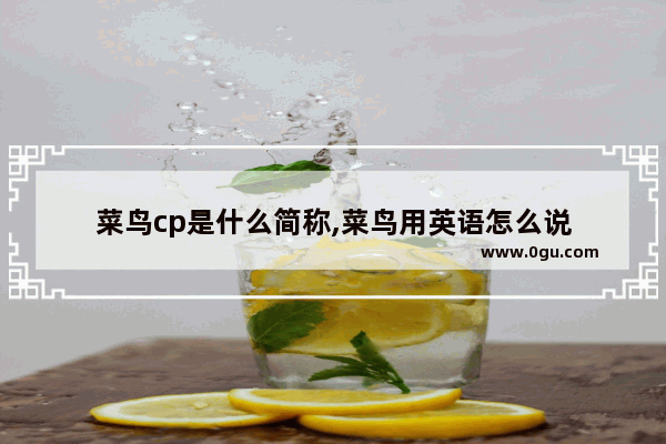 菜鸟cp是什么简称,菜鸟用英语怎么说