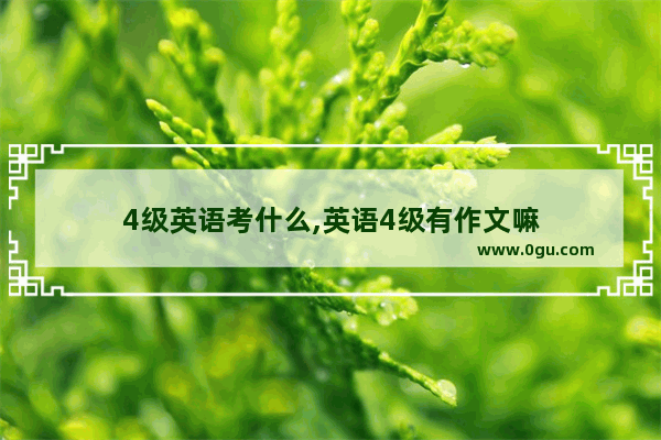 4级英语考什么,英语4级有作文嘛