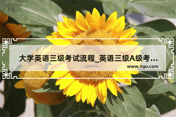 大学英语三级考试流程_英语三级A级考试各题多少分