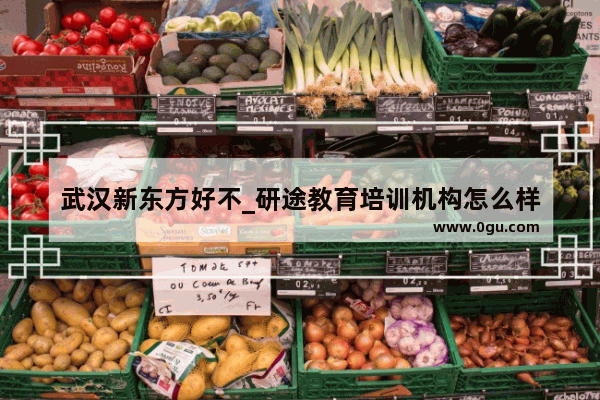 武汉新东方好不_研途教育培训机构怎么样