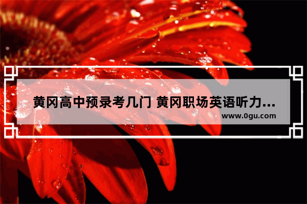 黄冈高中预录考几门 黄冈职场英语听力训练