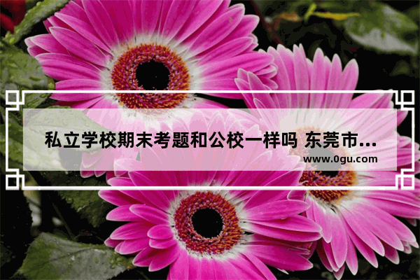私立学校期末考题和公校一样吗 东莞市高中期末英语考试