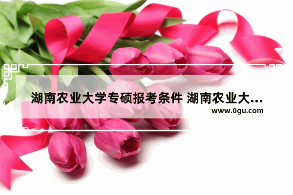 湖南农业大学专硕报考条件 湖南农业大学开学英语考试