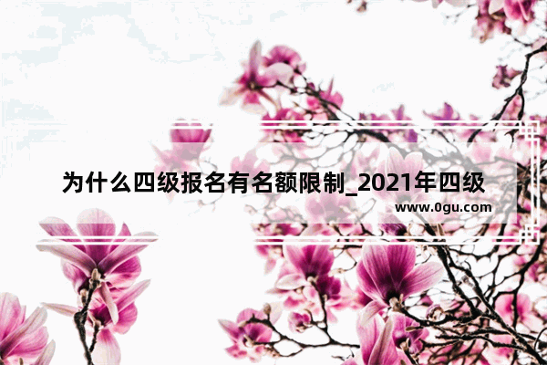 为什么四级报名有名额限制_2021年四级随时都可以报名吗