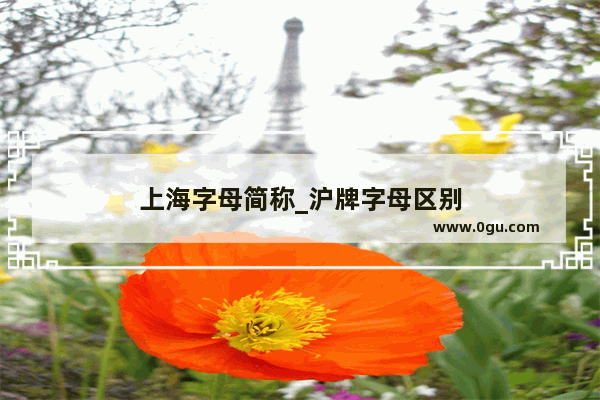 上海字母简称_沪牌字母区别