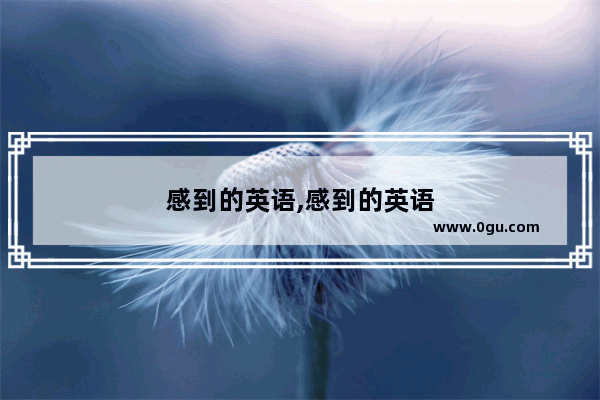 感到的英语,感到的英语