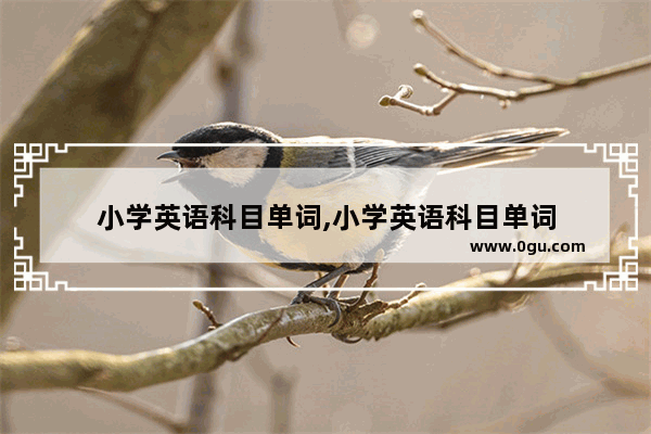 小学英语科目单词,小学英语科目单词
