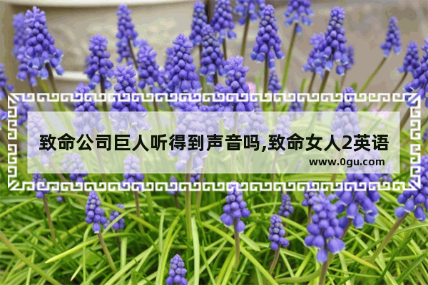 致命公司巨人听得到声音吗,致命女人2英语听力