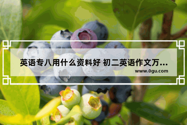 英语专八用什么资料好 初二英语作文万能套用