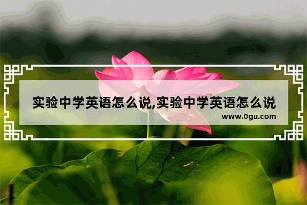 实验中学英语怎么说,实验中学英语怎么说