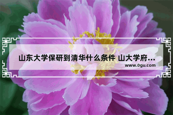 山东大学保研到清华什么条件 山大学府雅思