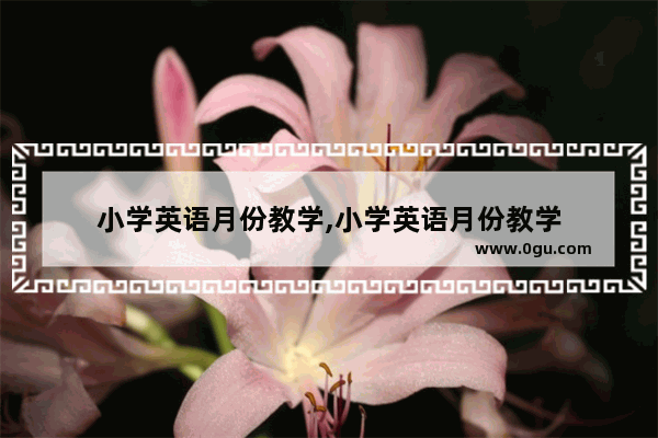 小学英语月份教学,小学英语月份教学